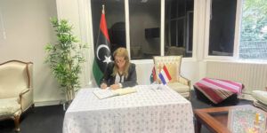 Ambassador’s activities